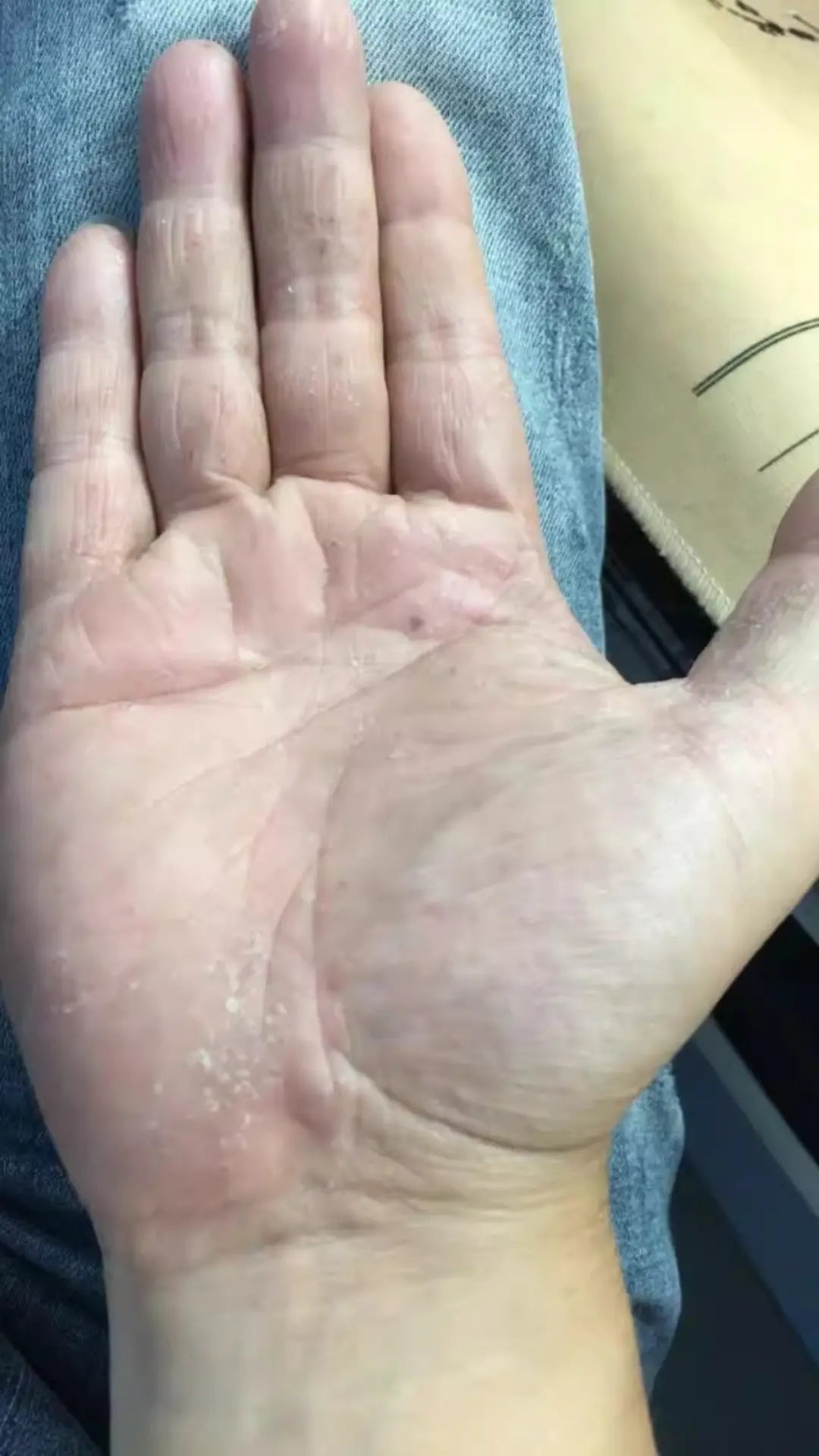 Day 43