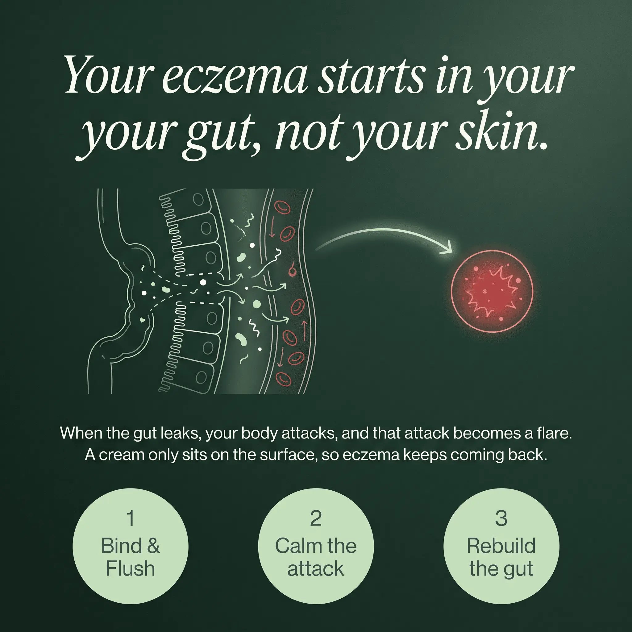 SpiroPlus — The Gut-Skin Chewable